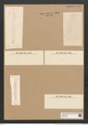 Plagiogramma spinosum Cleve (de-Toni-Nr.: Genus 83, Species 2906) Zeichnungen Sammlung Grunow Nr. 5897 (NHMW-BOT-W0374353)